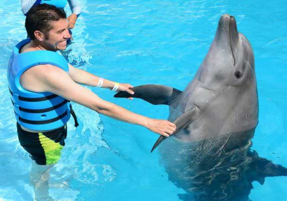 Ausflug zur Delphin Show ab Makadi Bay