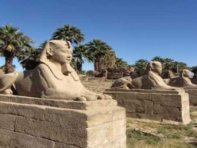 Tagesausflug nach Luxor ab El Gouna  mit Bus
